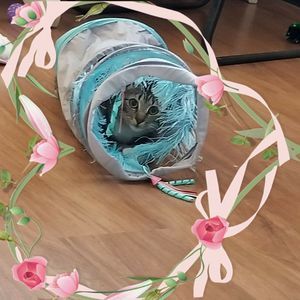 Meet your Posher, Karin